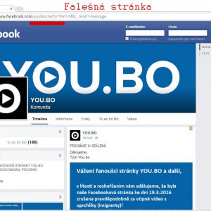 fake_youbo4 kopie