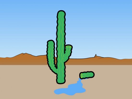 cactus